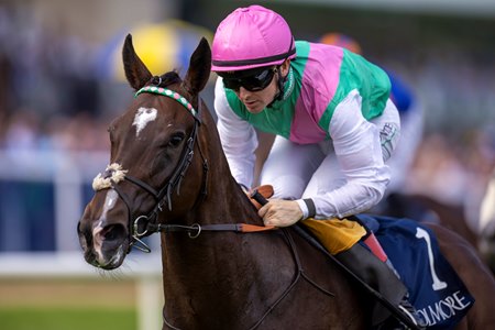 Blue Bolt wins the Matron Stakes 