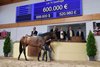 2026 BBAG Yearling Sale, Lot 74
Saxifraga