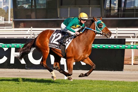 Sheza Alibi wins the Makybe Diva Stakes at Flemington Racecourse