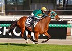 Sheza Alibi wins the 2026 Makybe Diva Stakes at Flemington Racecourse
ridden by Luke Nolen and trained by Peter Moody &amp; Katherine Coleman