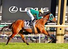 Sheza Alibi wins the 2026 Makybe Diva Stakes at Flemington Racecourse
ridden by Luke Nolen and trained by Peter Moody &amp; Katherine Coleman