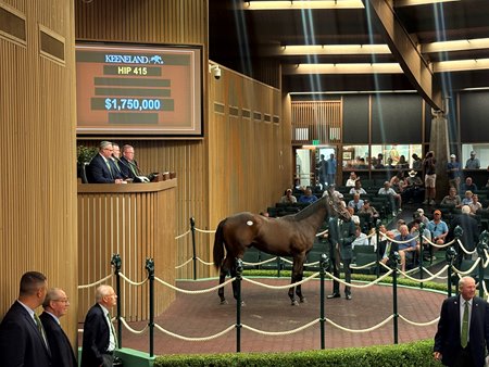 The Nyquist colt consigned as Hip 415 sells for $1.75 million at the Keeneland September Sale