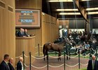 Hip 415 in the ring during the Keeneland September Yearling Sale