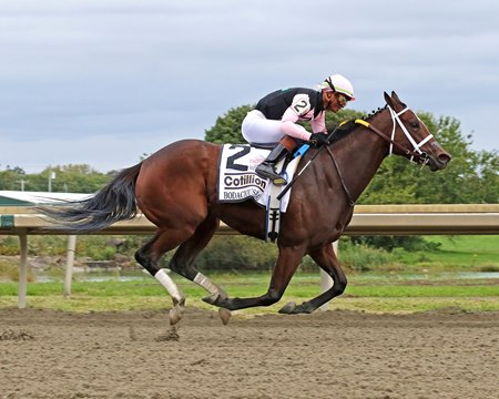 Bodacious Bay wins the Cotillion Stakes at Parx Racing