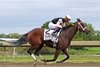 Micah Husbands riding Bodacious Bay won the $1,000,000 Grade I Cotillion Stakes  at Parx Racing in Bensalem, PA on Saturday September 19, 2026.  Photo by Hailey Cooper/EQUI-PHOTO.