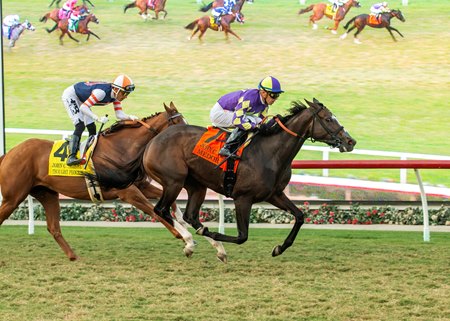 Medoro and Juan Hernandez upsets heavily favored Thought Process to win the John C. Mabee Stakes at Del Mar