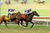 Medoro and jockey Juan Hernandez, right, outleg, Thought Process (Hector Berrios), left, to win the Grade II, $250,000 John C. Mabee Stakes, Monday, September 7, 2026 at Del Mar Throughbred Club, Del Mar CA.
© BENOIT PHOTO