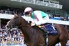 Blue Bolt wins the 2026 Matron Stakes at Leopardstown Racecourse