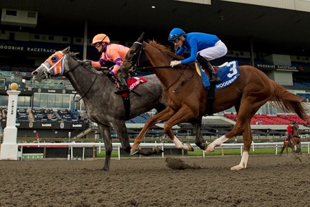 William T (outside) defeats Maycocks Bay in the Durham Cup Stakes at Woodbine
