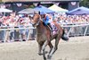Stradale #8 with Jose Ortiz riding won the $400,000 Grade II Gallant Bob Stakes at Parx Racing in Bensalem, PA on Saturday September 19, 2026.  Photo by Nikki Sherman/EQUI-PHOTO.