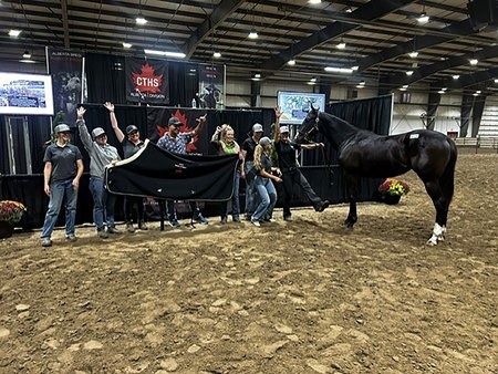 The Olympiad filly consigned as Hip 12 at the CTHS Alberta Thoroughbred Sale