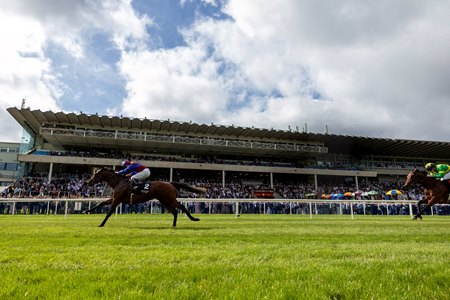 Darkness Falls romps in the Golden Fleece Stakes at Leopardstown Racecourse