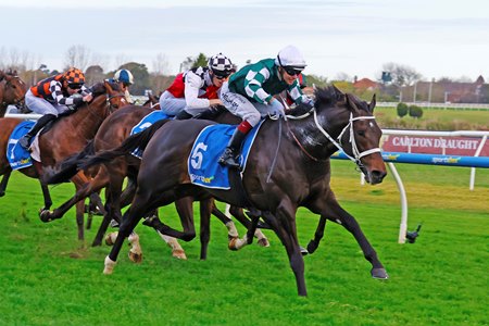 Angel Capital wins the Sir Rupert Clarke Stakes at Caulfield Racecourse