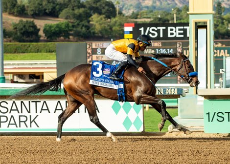 Super Corredora and Listenupshance Secure Breeders' Cup Berths at Santa Anita - News Directory 3