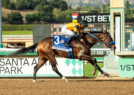 Super Corredora wins the Zenyatta Stakes at Santa Anita Park