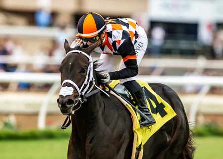 Vanta and jockey Umberto Rispoli win the Del Mar Juvenile Fillies Turf at Del Mar