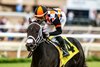 Vanta and jockey Umberto Rispoli win the $100,000 Del Mar Juvenile Fillies Turf, Sunday, September 6, 2026 at Del Mar Thoroughbred Club, Del Mar CA.
© BENOIT PHOTO