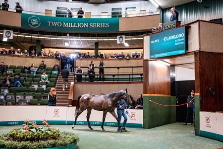 The Justify filly, cataloged as Lot 154, in the ring