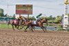 Military Time wins the 2026 Prince of Wales Stakes at Fort Erie