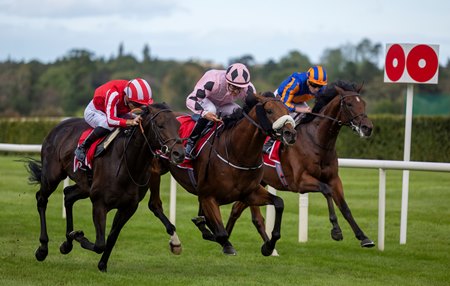 Hotazhell (center) edges Wimbledon Hawkeye (outside) and Constitution River to take the Irish Champion Stakes at Leopardstown Racecourse