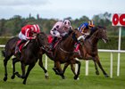 Hotazhell (Shane Foley, centre) wins the Gr.1 Irish Champion Stakes from Constitution River and Wimbledon Hawkeye. 
Irish Champions Festival day 1.
Leopardstown.
Photo: Patrick McCann/Racing Post
12.09.2026.

