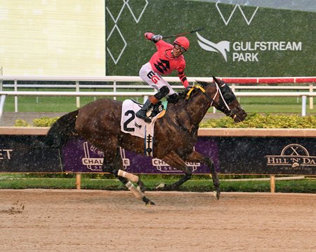 Kerry's Kiss leads all the way to take the Princess Rooney Stakes at Gulfstream Park