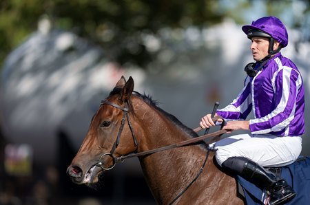 Ryan Moore