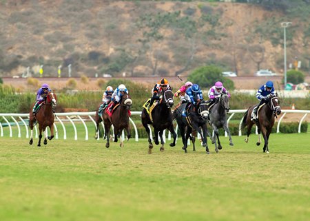 Turf racing at Del Mar
