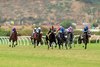 Vanta and jockey Umberto Rispoli, third from left, win the $100,000 Del Mar Juvenile Fillies Turf, Sunday, September 6, 2026 at Del Mar Thoroughbred Club, Del Mar CA.
© BENOIT PHOTO