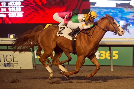 War Court wins a 2025 allowance optional claiming race at Woodbine