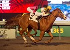 War Court, AOC, November 30 2025, Woodbine