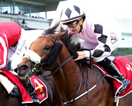 Hotazhell wins the Irish Champion Stakes