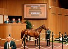 Hip 790, 2026 Keeneland September Sale