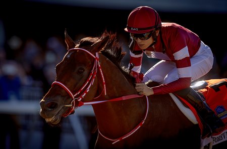 Forever Young wins the Jockey Club Gold Cup at Belmont Park