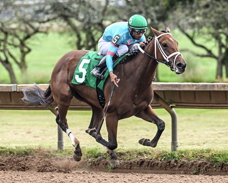 Sun Kissed Bliss wins the Lady Finger Stakes at Finger Lakes