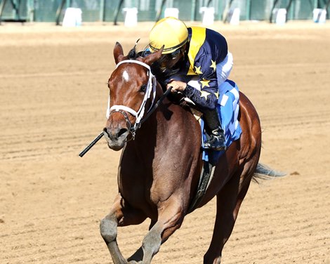 Breeders’ Cup Contenders Tune Up at Churchill