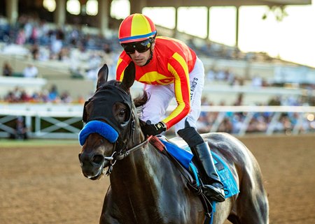 Miss Monica wins the Del Mar Debutante Stakes at Del Mar