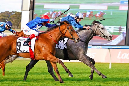 My Gladiola (inside) wins the Moir Stakes at Sandown Racecourse