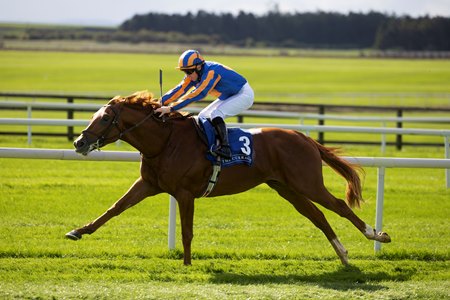 Capability Brown breaks his maiden at the Curragh