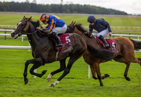 Scandinavia Keeps Win Streak Going in Irish St. Leger