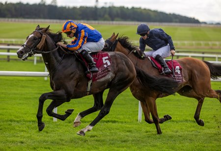 Scandinavia wins 2026 Irish St. Leger at the Curragh