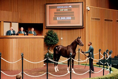 The Not This Time colt consigned as Hip 899 sells for $2 million at the Keeneland September Sale