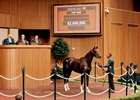 Hip 899, 2026 Keeneland September Sale