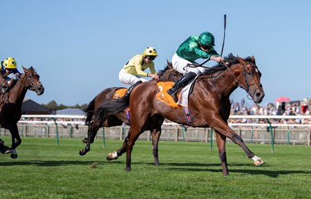 Haffner wins the Royal Lodge Stakes at Newmarket Racecourse