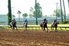 Man O Rose and jockey Edwin Maldonado win the $75,000 E.B. Johnston Stakes, Saturday, September 19, 2026 at Los Alamitos Race Course, Cypress CA.
© BENOIT PHOTO