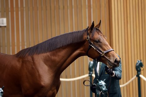 Gun Runner Colt Tops Strong Keeneland September Opener