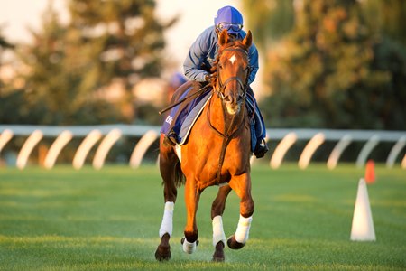 Notable Speech gallops Sept. 10 on the Woodbine turf
