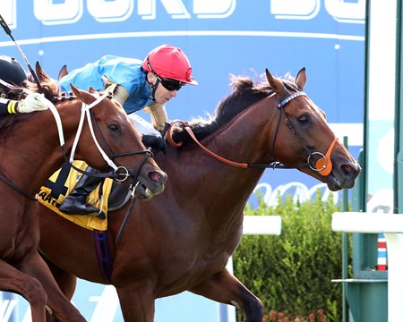 Haatem edged Lagynos to win the Mint Millions Stakes Sept. 7 at Kentucky Downs
