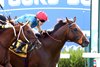 Haatem (IRE) wins the 2026 Mint Millions Invitational Stakes at Kentucky Downs