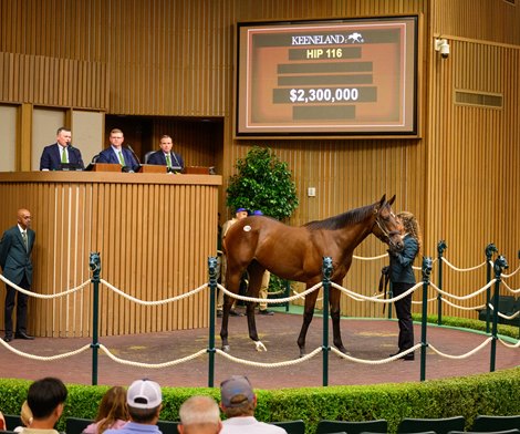 Gun Runner Yearlings Steal the Show at Keeneland